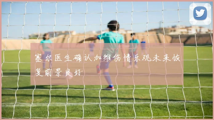 塞尔医生确认加维伤情乐观未来恢复前景良好