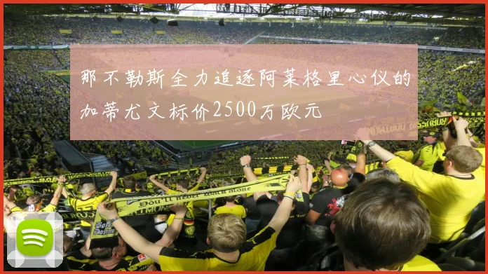 那不勒斯全力追逐阿莱格里心仪的加蒂尤文标价2500万欧元